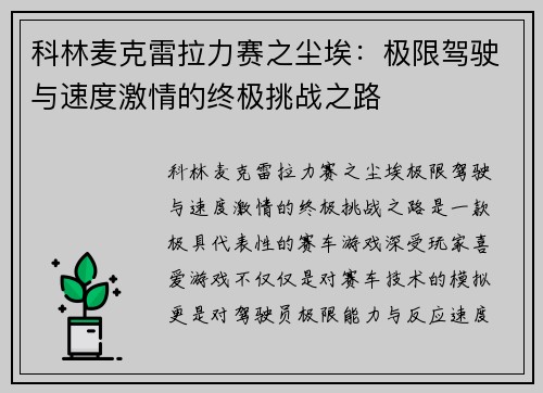 科林麦克雷拉力赛之尘埃：极限驾驶与速度激情的终极挑战之路